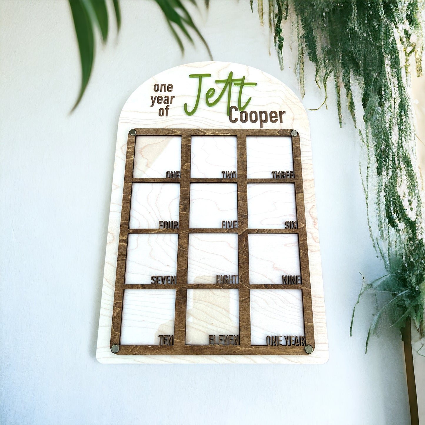 Baby Monthly Milestone Picture Frame