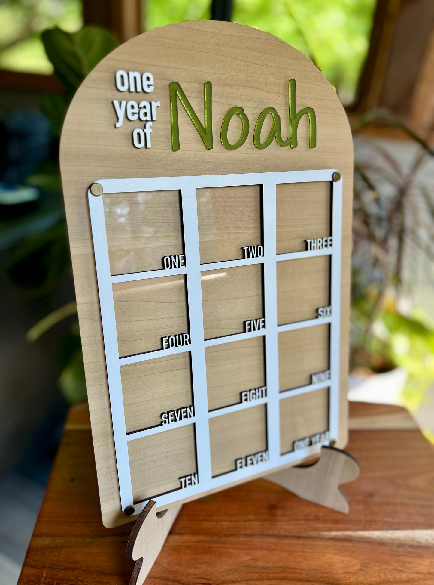 Baby Monthly Milestone Picture Frame
