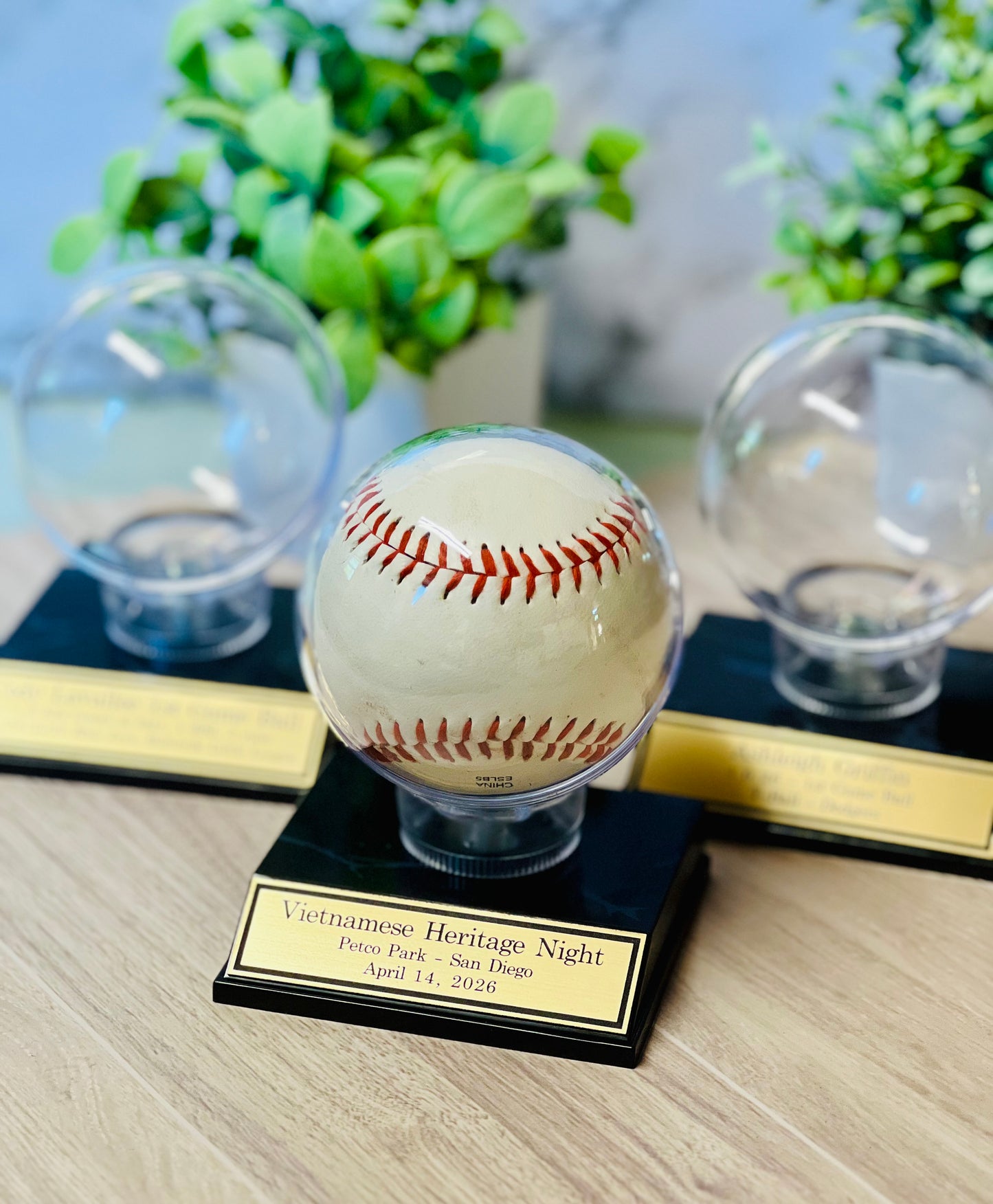 Personalized Baseball Trophy Display Stand