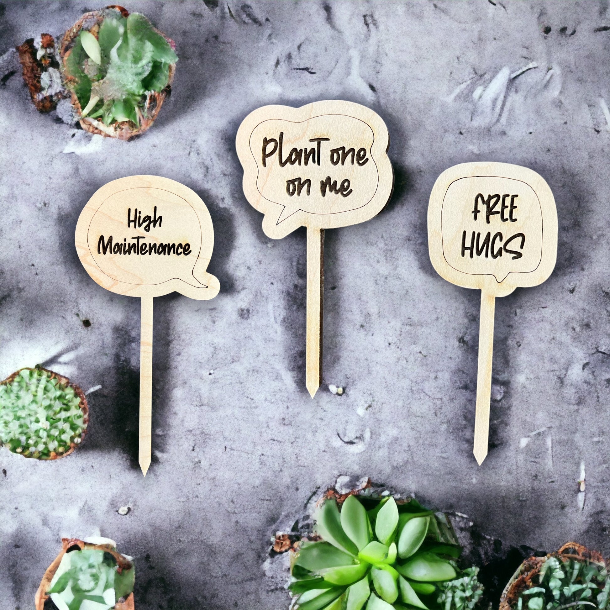 funny succulent plants quotes 6 pack of Plant Stakes, Quotes or Plants, Funny Plant Signs, Succulent Signs, Succulent Quotes, Plant Tags, Snark Plant Tags